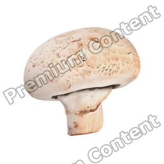 Champignon Vegetable Retopo 3D Scan